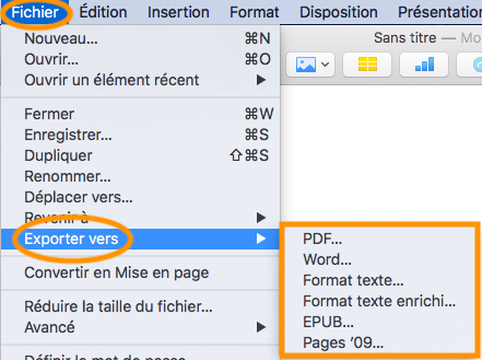 comment mettre une vidéo en format pdf